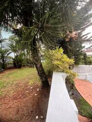 Lucky View (D16), Semi-Detached #589479581
